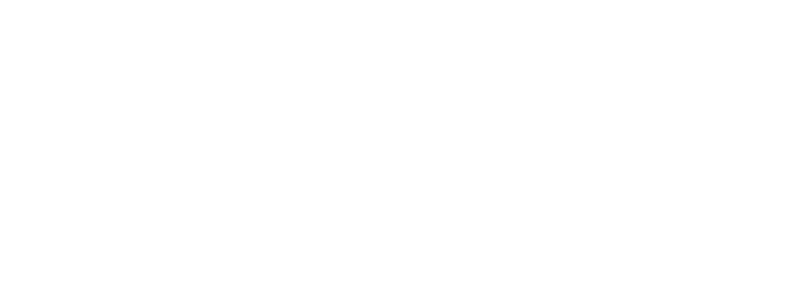 Boss Shisha