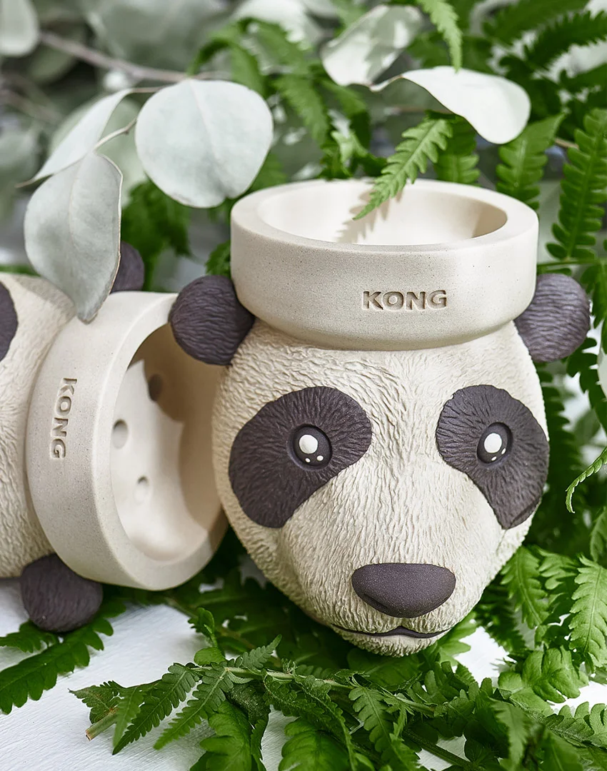 Kong Panda Bowl - Image 2